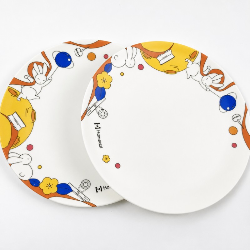 Custom Bamboo Fiber Ins‑Style Salad Fruit Plates